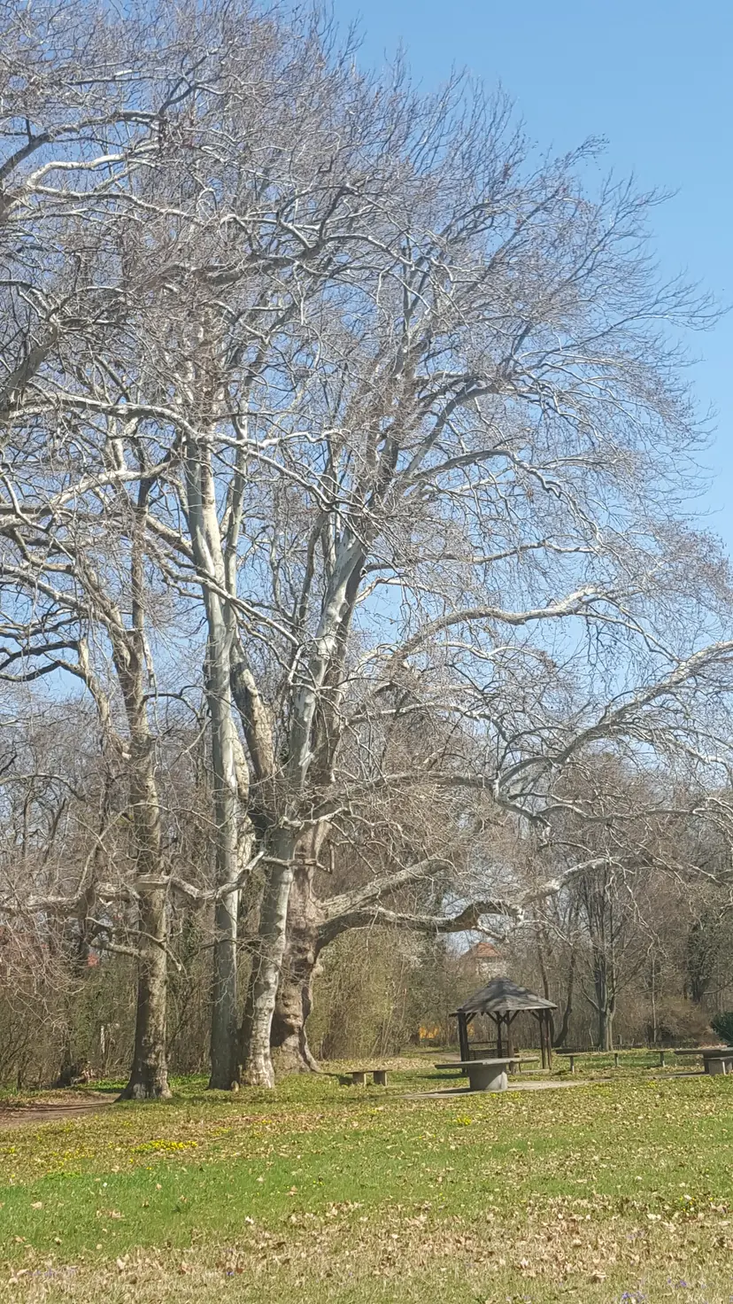 Spielplatz in der Au 5