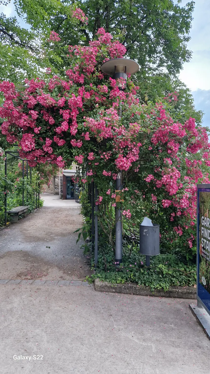 Spielplatz Schlosspark 5