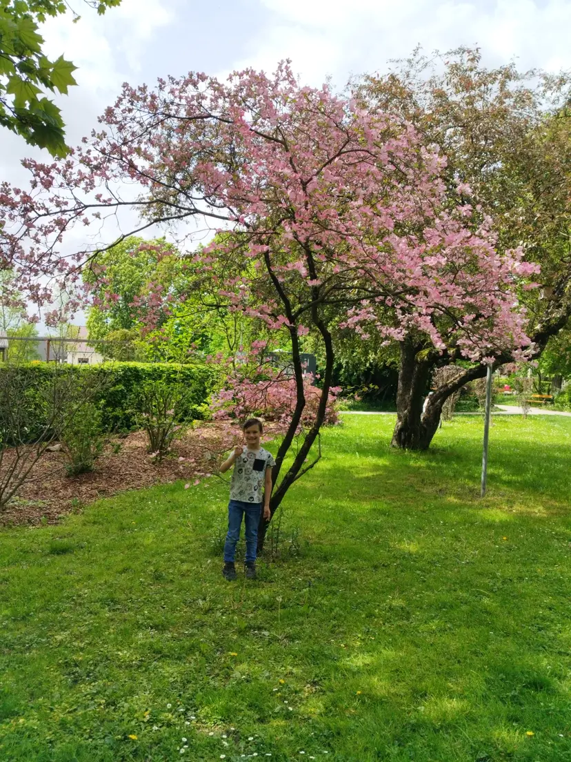 Spielplatz im Stadtpark Gleisdorf 5
