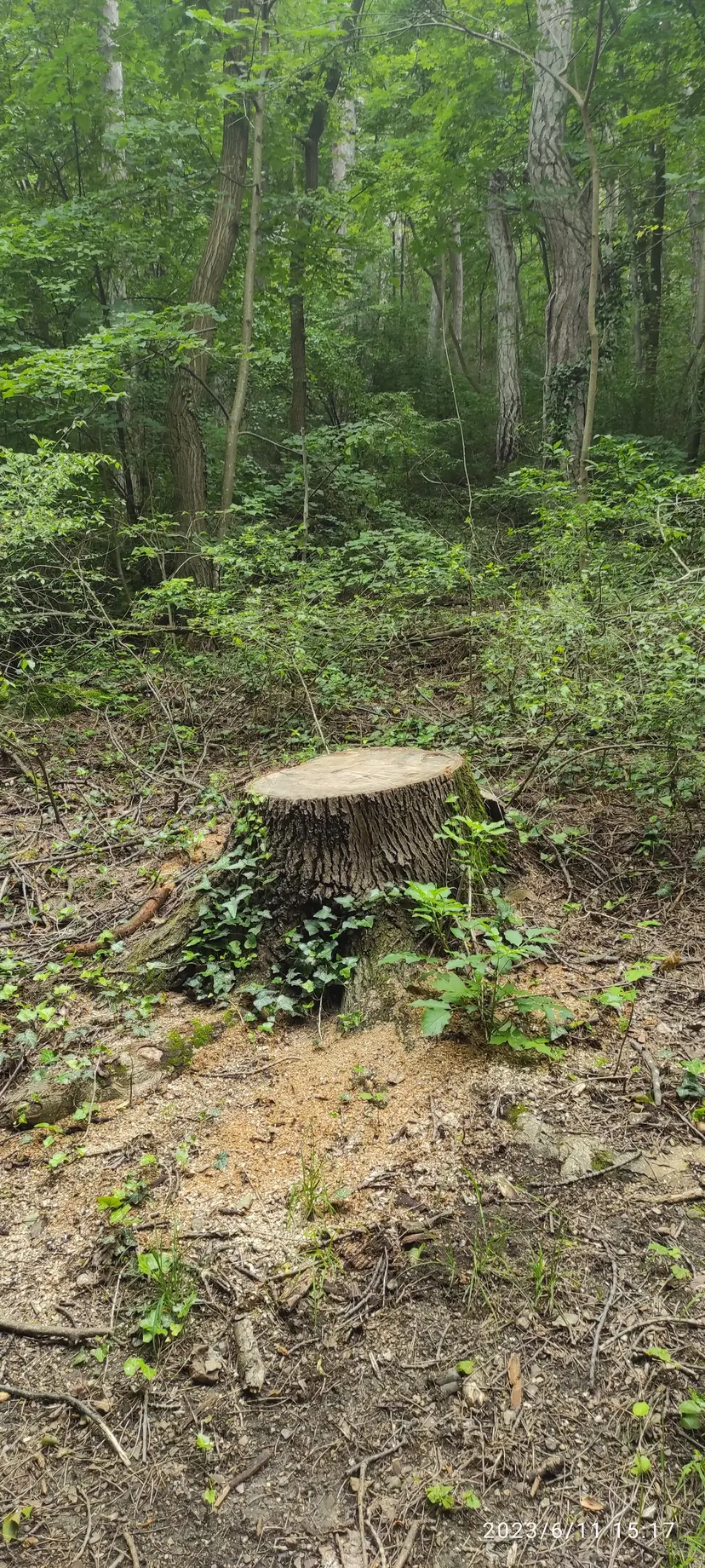 Spielplatz Jordanfelsen 6