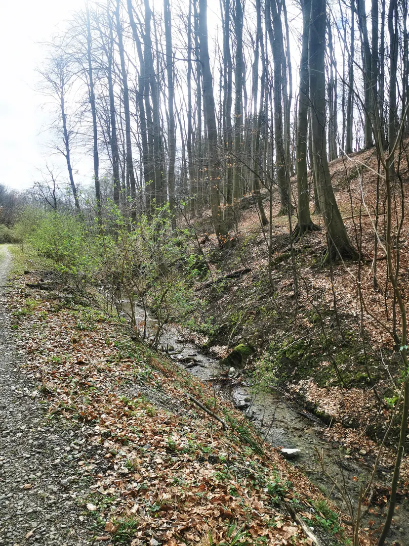 Waldspielplatz Exelbergstraße 3
