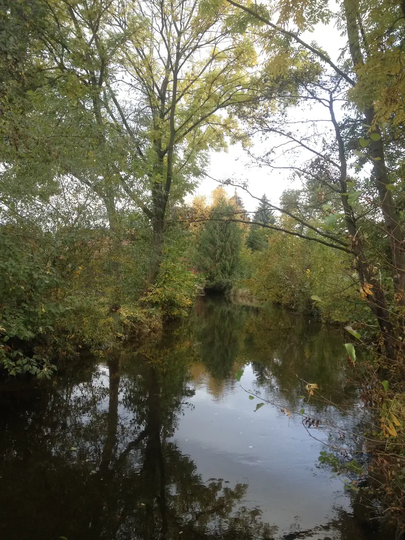 Spielplatz 5