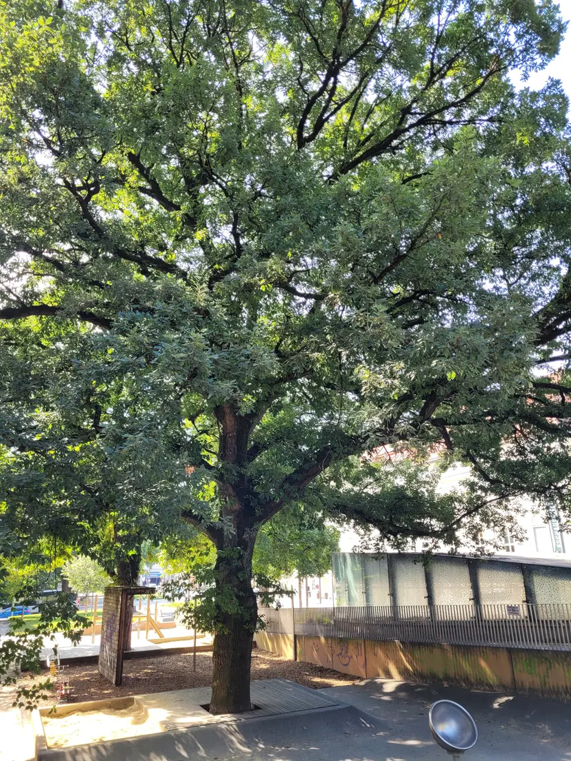 Spielplatz Landhauspark 5