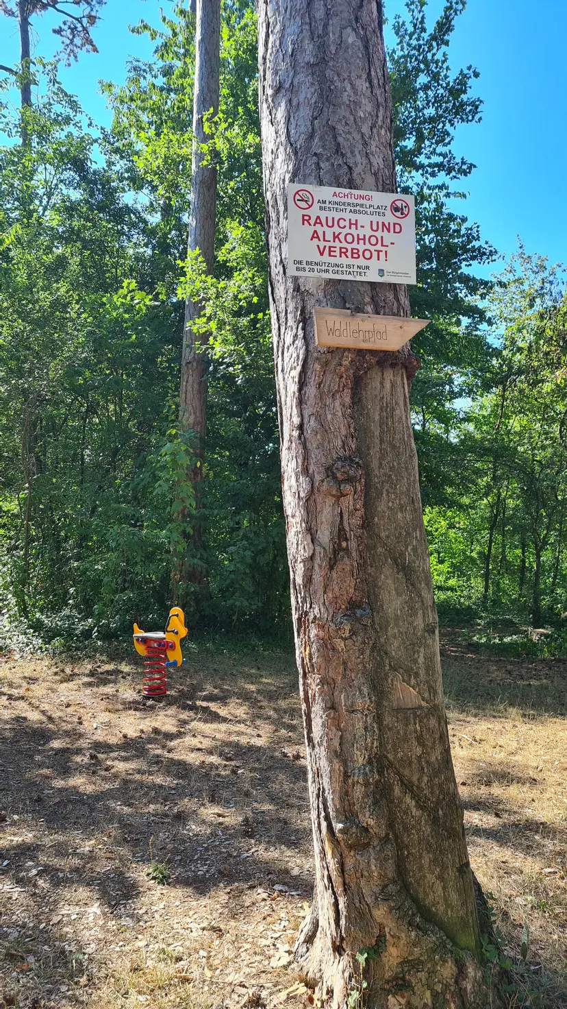 Waldspielplatz hinter der Kirche 4