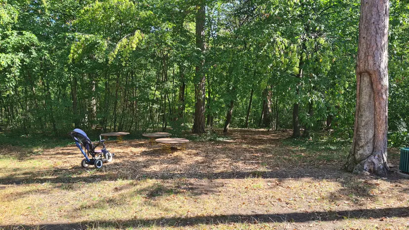 Waldspielplatz hinter der Kirche 6