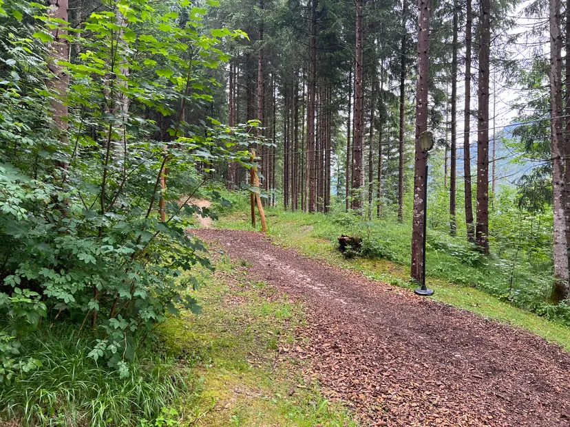 Waldspielplatz 4