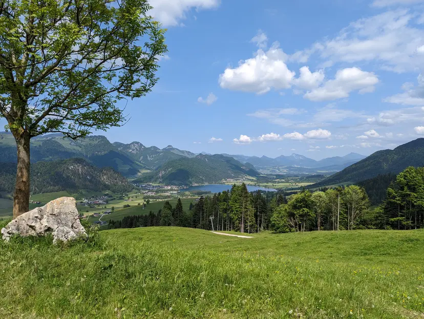Waldspielplatz 5