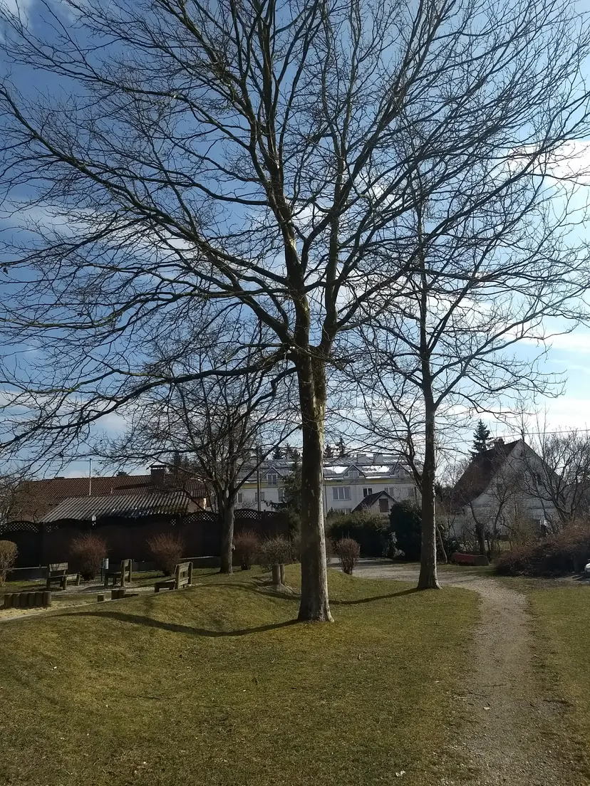 Spielplatz HermannBahrWeg 4