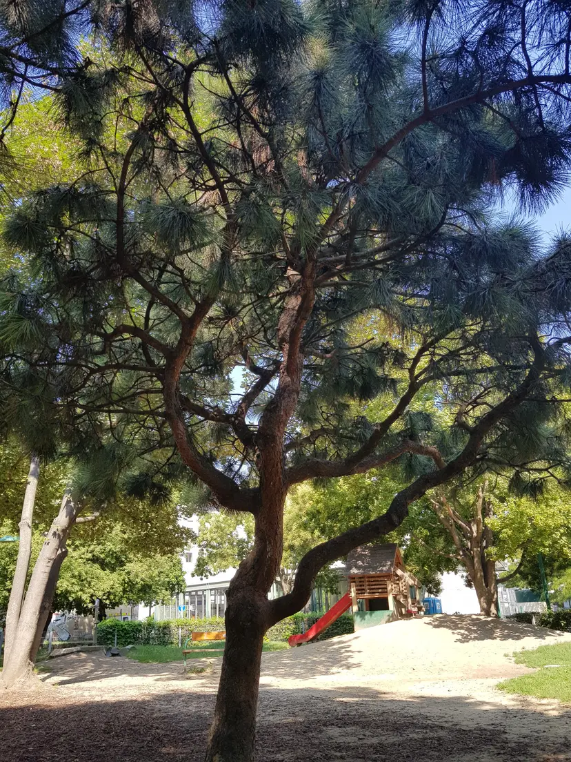 Spielplatz Leipzigerplatz 5