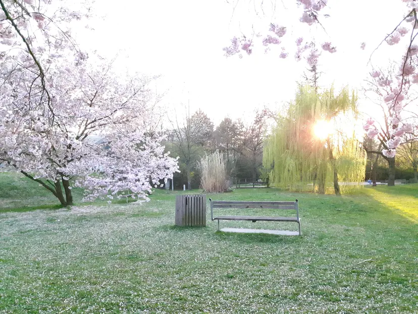 Spielplatz Dunglpark 3
