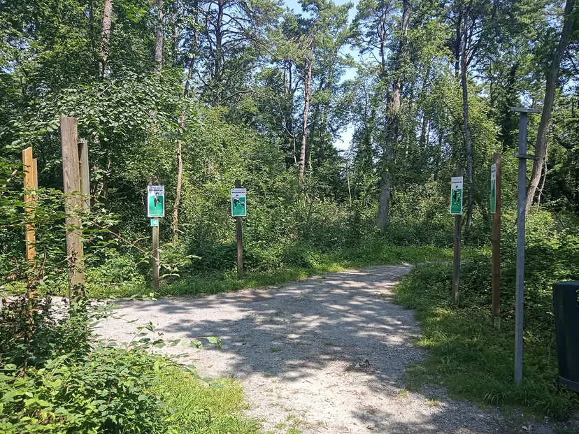Spielplatz Kischaru Hard 4