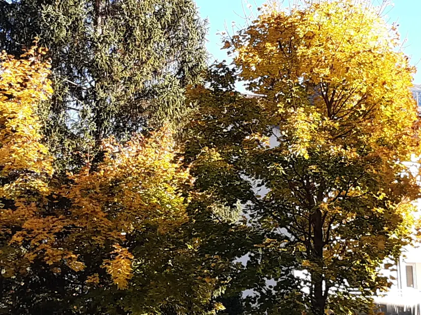 Spielplatz Schule Schönegg 2