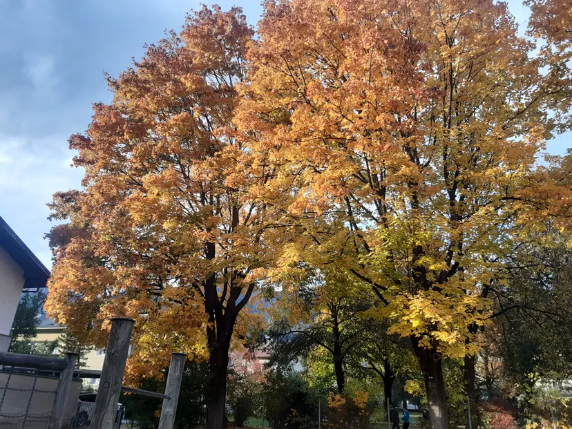 Spielplatz Schule Schönegg 3