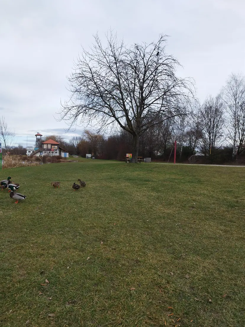 Spielplatz Ratzersdorfer See 4