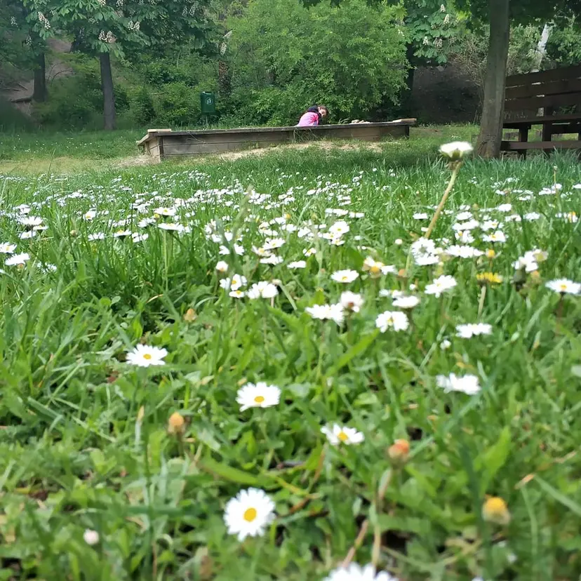Auersthal Kinder Spielplatz 2