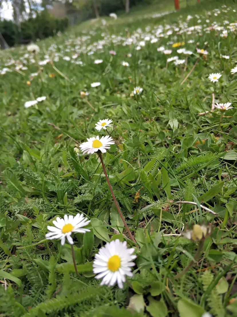 Auersthal Kinder Spielplatz 3