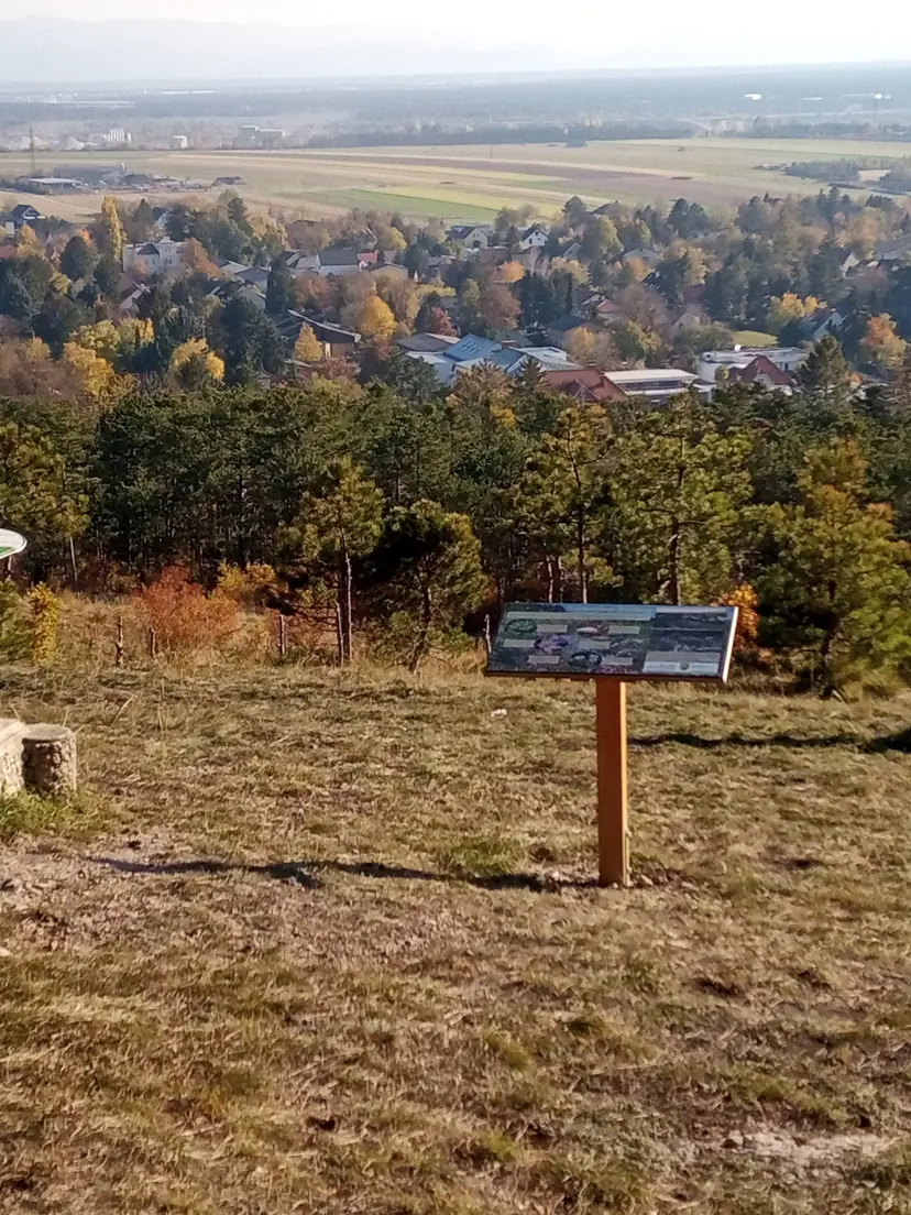 Elefantenspielplatz 6