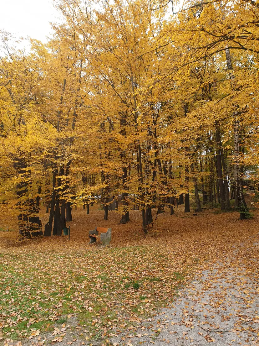 Spielplatz Traisen 4