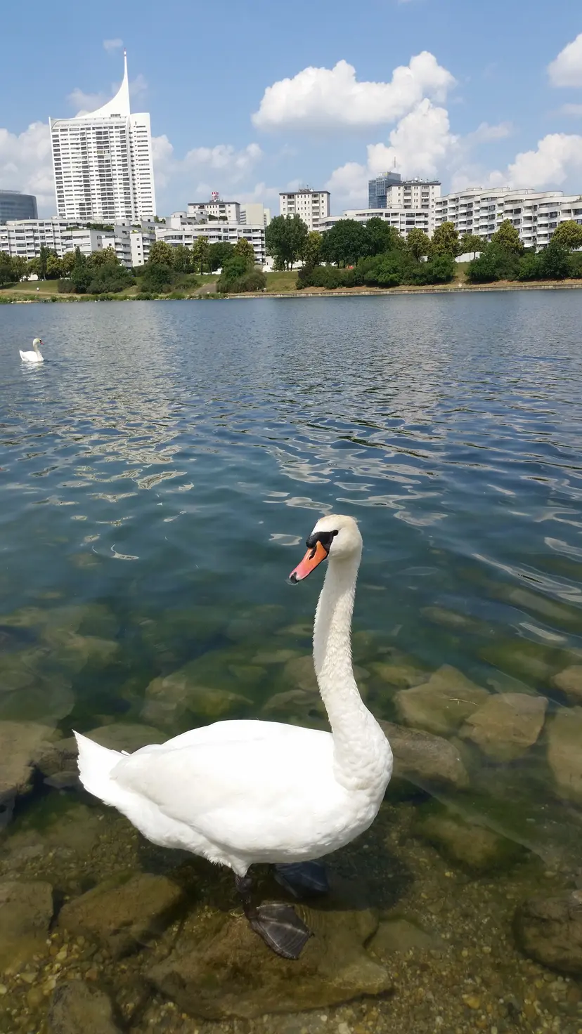 Wasserspielplatz Donauinsel 5
