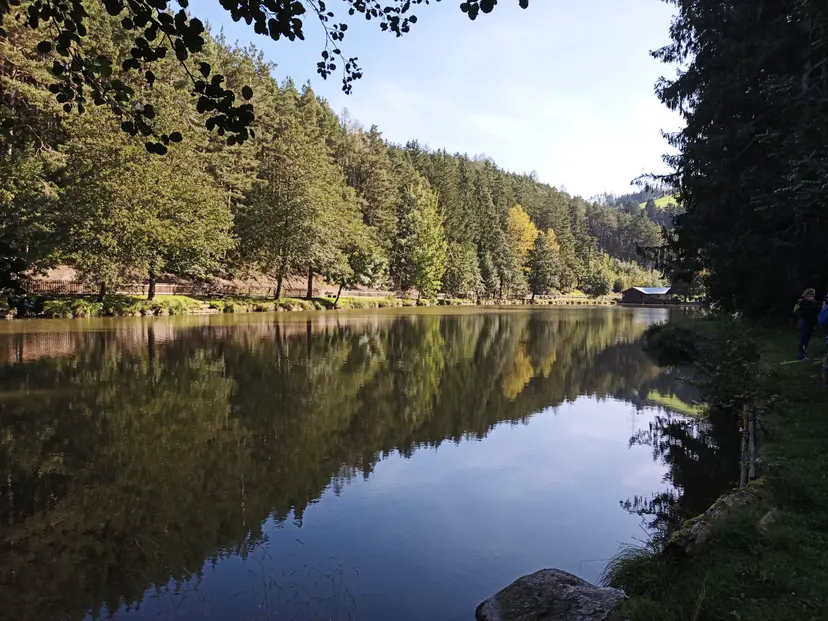 Waldspielplatz 5