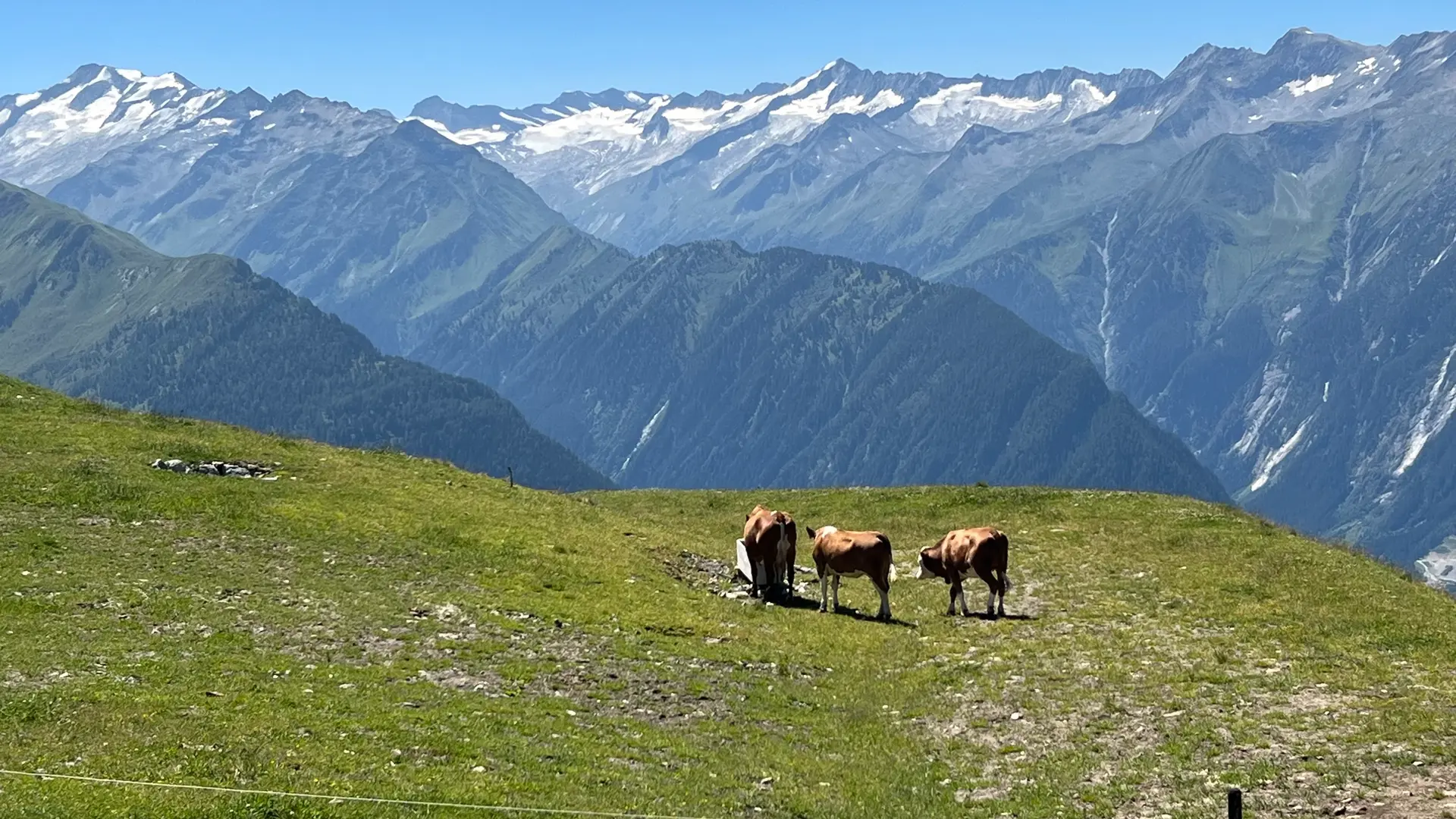 Wildkogel Sommer Berg Spielplatz