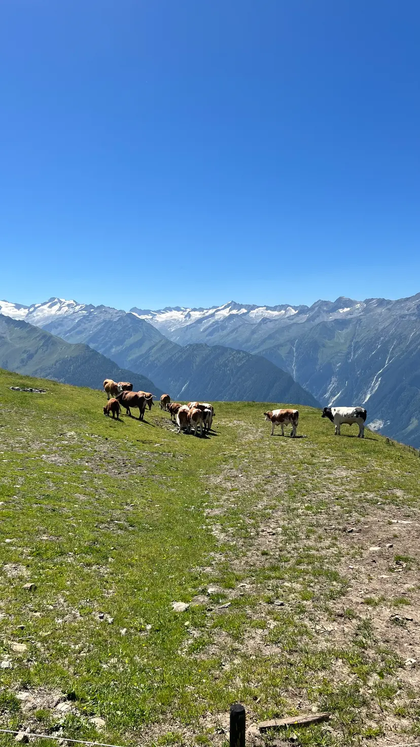 Wildkogel Sommer Berg Spielplatz 6