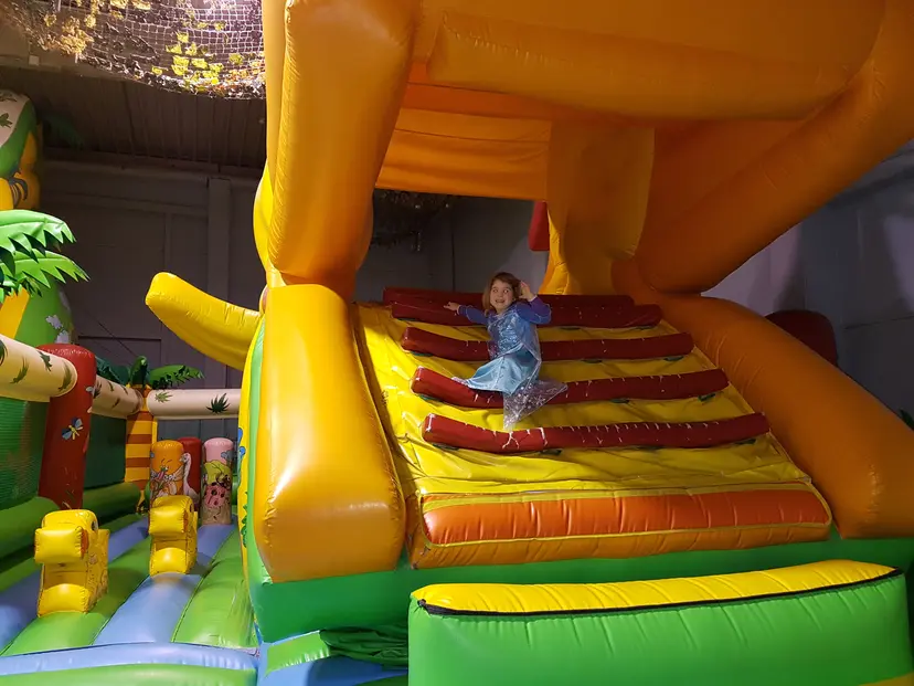 Jungle Indoor Playland 5