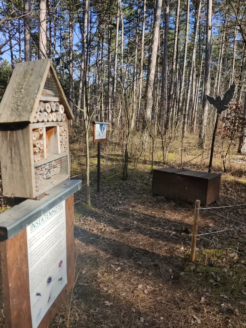 Spielplatz / Neusiedl am Steinfeld 3