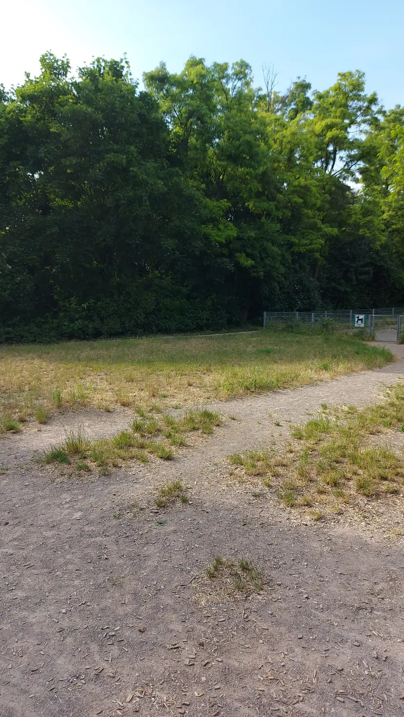 Waldspielplatz Satzingerweg 3