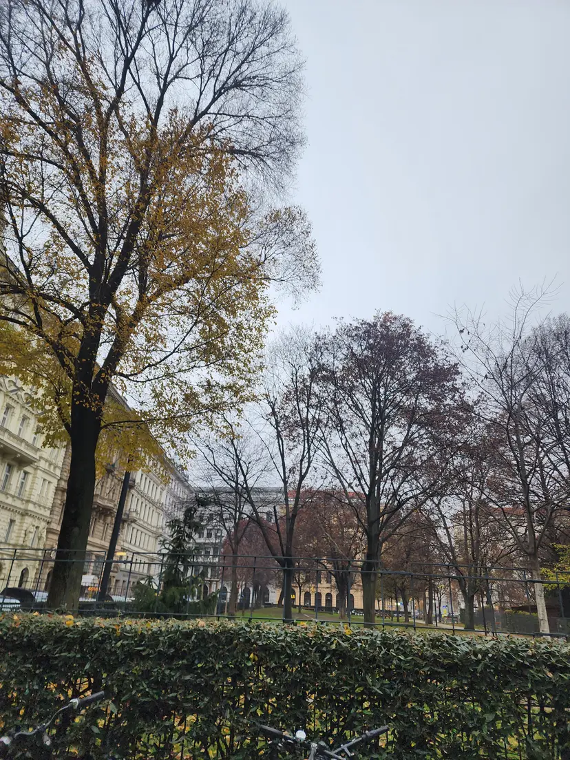 Spielplatz im Rudolfspark 3