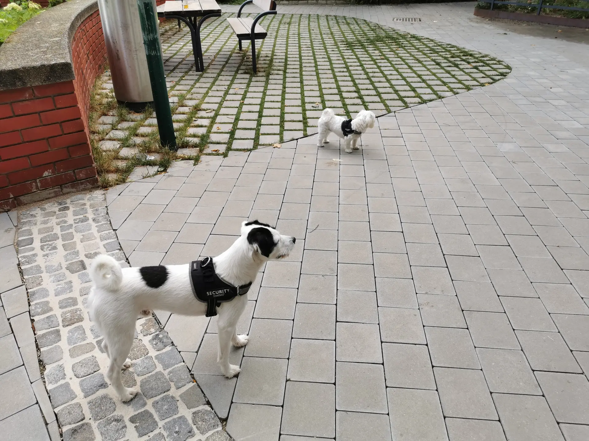 Spielplatz Anton-Krutisch-Park