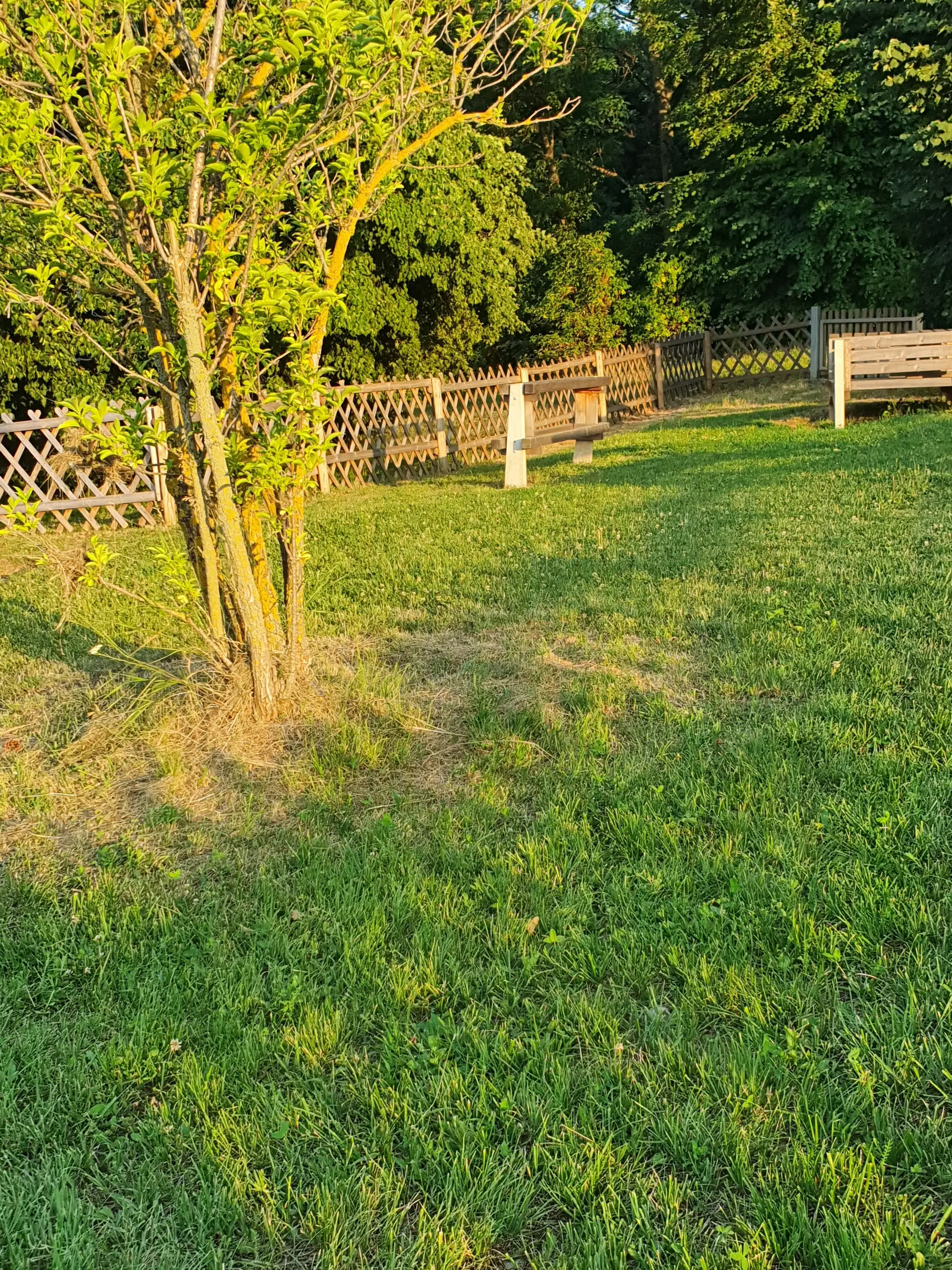 Spielplatz Hörndlwald