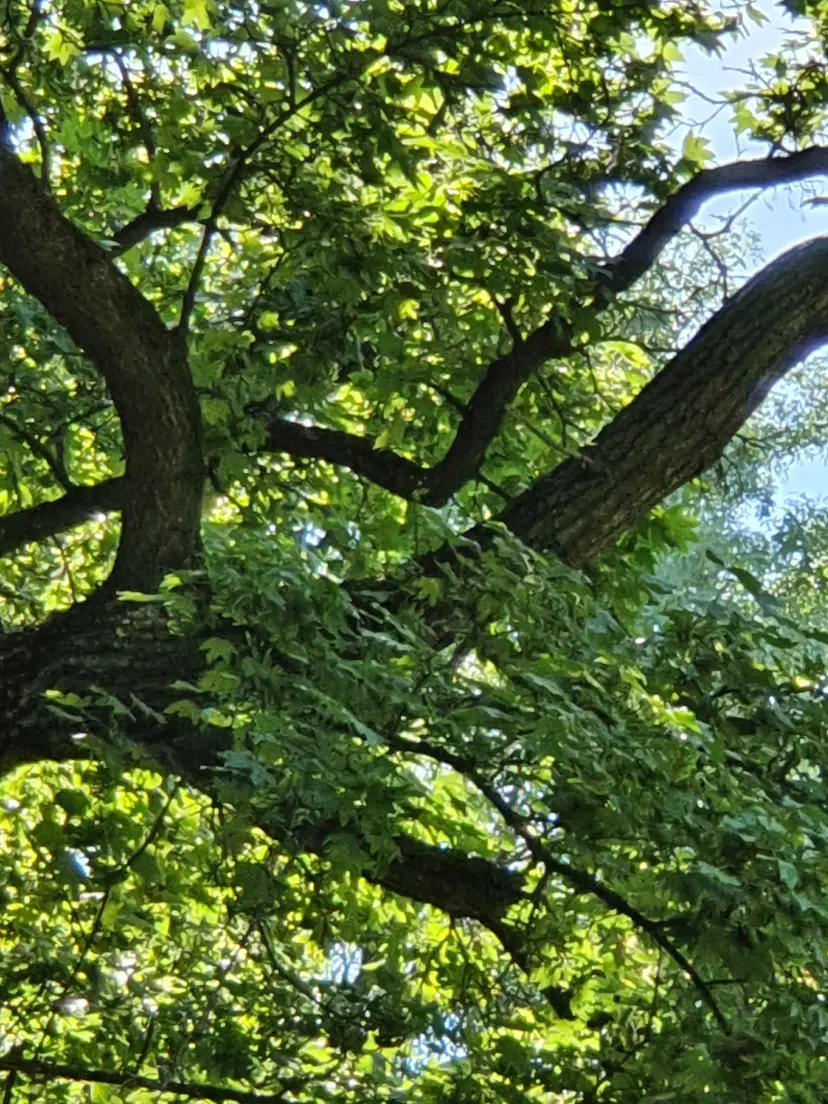 Spielplatz Hörndlwald 5